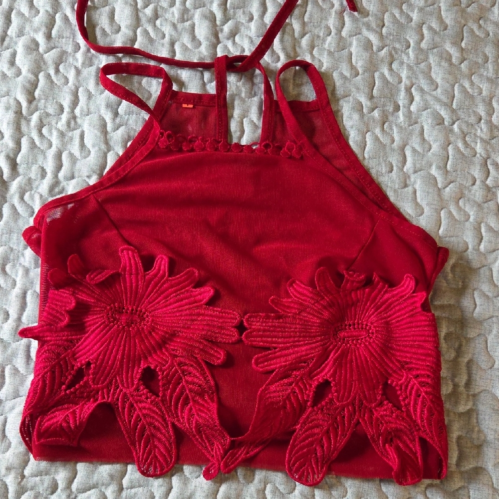 Deep Red Cropped Halter Top
